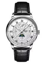 Terra Lux Watch for Men
