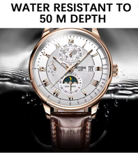 Terra Lux Watch for Men