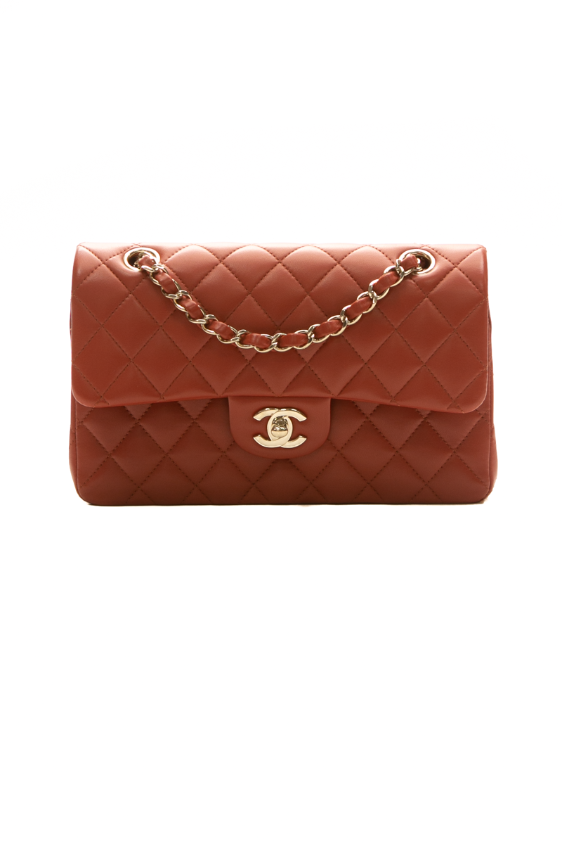Classic Small Double Flap Bag