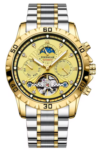 Titan Chrono X - ZaneLuxe Luxury Men's Chronograph Watch Gold & Silver